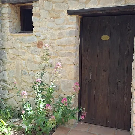 Le Clos Des Oliviers * Sauve