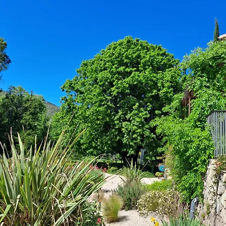 Le Clos Des Oliviers